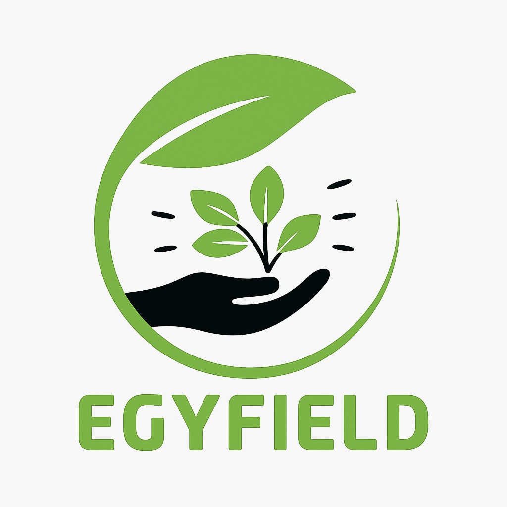 EgyField logo